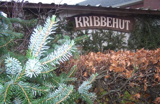 (vergroot foto)